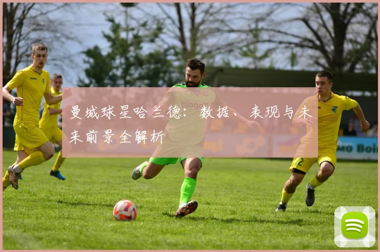 曼城球星哈兰德：数据、表现与未来前景全解析